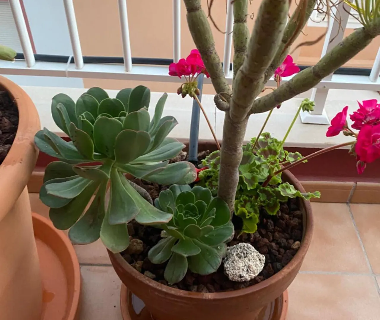 Apartamento Lucie Exclusive Apartment With A Stunning View Chayofa Spanien